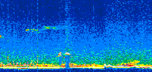 /calipso-imagery/data/BROWSE/production/V5-00/2019-01-04/2019-01-04_09-40-15_V5.00_3_thmb.png image missing