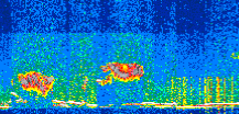 /calipso-imagery/data/BROWSE/production/V5-00/2019-01-04/2019-01-04_12-57-20_V5.00_2_thmb.png image missing
