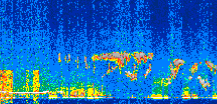 /calipso-imagery/data/BROWSE/production/V5-00/2019-01-04/2019-01-04_14-35-51_V5.00_3_thmb.png image missing