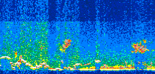 /calipso-imagery/data/BROWSE/production/V5-00/2019-01-04/2019-01-04_21-10-01_V5.00_2_thmb.png image missing