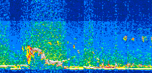 /calipso-imagery/data/BROWSE/production/V5-00/2019-01-29/2019-01-29_00-53-59_V5.00_2_thmb.png image missing