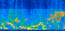 /calipso-imagery/data/BROWSE/production/V5-00/2019-01-29/2019-01-29_04-11-04_V5.00_2_thmb.png image missing