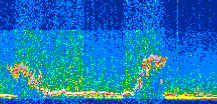 /calipso-imagery/data/BROWSE/production/V5-00/2019-01-29/2019-01-29_09-06-45_V5.00_2_thmb.png image missing