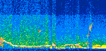 /calipso-imagery/data/BROWSE/production/V5-00/2019-01-29/2019-01-29_10-45-15_V5.00_2_thmb.png image missing