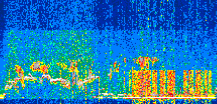 /calipso-imagery/data/BROWSE/production/V5-00/2019-01-29/2019-01-29_15-40-51_V5.00_2_thmb.png image missing