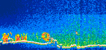 /calipso-imagery/data/BROWSE/production/V5-00/2019-01-29/2019-01-29_20-36-26_V5.00_1_thmb.png image missing