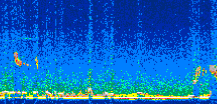 /calipso-imagery/data/BROWSE/production/V5-00/2019-01-29/2019-01-29_20-36-26_V5.00_3_thmb.png image missing