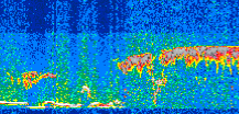 /calipso-imagery/data/BROWSE/production/V5-00/2019-01-29/2019-01-29_23-53-32_V5.00_2_thmb.png image missing