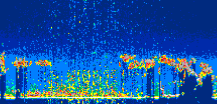 /calipso-imagery/data/BROWSE/production/V5-00/2019-02-11/2019-02-11_03-27-26_V5.00_3_thmb.png image missing