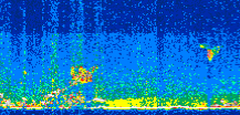 /calipso-imagery/data/BROWSE/production/V5-00/2019-02-11/2019-02-11_04-13-41_V5.00_2_thmb.png image missing