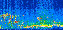 /calipso-imagery/data/BROWSE/production/V5-00/2019-02-11/2019-02-11_05-52-11_V5.00_3_thmb.png image missing