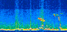 /calipso-imagery/data/BROWSE/production/V5-00/2019-02-11/2019-02-11_09-09-16_V5.00_2_thmb.png image missing
