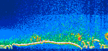 /calipso-imagery/data/BROWSE/production/V5-00/2019-02-11/2019-02-11_12-26-22_V5.00_1_thmb.png image missing