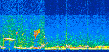/calipso-imagery/data/BROWSE/production/V5-00/2019-02-11/2019-02-11_14-04-57_V5.00_2_thmb.png image missing