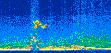 /calipso-imagery/data/BROWSE/production/V5-00/2019-02-11/2019-02-11_23-56-08_V5.00_3_thmb.png image missing