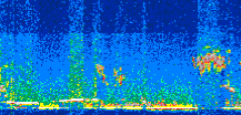 /calipso-imagery/data/BROWSE/production/V5-00/2019-02-15/2019-02-15_08-24-39_V5.00_2_thmb.png image missing