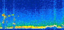 /calipso-imagery/data/BROWSE/production/V5-00/2019-02-15/2019-02-15_08-24-39_V5.00_3_thmb.png image missing