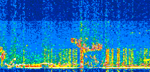 /calipso-imagery/data/BROWSE/production/V5-00/2019-02-15/2019-02-15_14-58-50_V5.00_2_thmb.png image missing