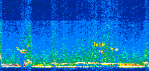/calipso-imagery/data/BROWSE/production/V5-00/2019-02-15/2019-02-15_19-54-26_V5.00_2_thmb.png image missing