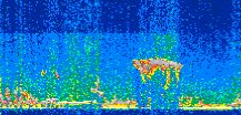 /calipso-imagery/data/BROWSE/production/V5-00/2019-02-15/2019-02-15_21-33-01_V5.00_2_thmb.png image missing