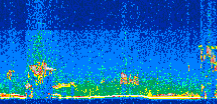 /calipso-imagery/data/BROWSE/production/V5-00/2019-02-21/2019-02-21_05-39-08_V5.00_2_thmb.png image missing