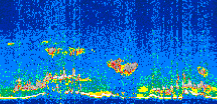 /calipso-imagery/data/BROWSE/production/V5-00/2019-02-21/2019-02-21_10-34-48_V5.00_3_thmb.png image missing