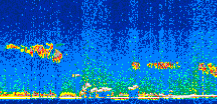 /calipso-imagery/data/BROWSE/production/V5-00/2019-02-21/2019-02-21_23-43-10_V5.00_3_thmb.png image missing