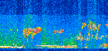 /calipso-imagery/data/BROWSE/production/V5-00/2019-03-02/2019-03-02_06-26-36_V5.00_2_thmb.png image missing
