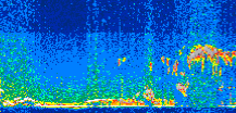 /calipso-imagery/data/BROWSE/production/V5-00/2019-03-02/2019-03-02_08-05-12_V5.00_2_thmb.png image missing