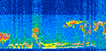 /calipso-imagery/data/BROWSE/production/V5-00/2019-03-02/2019-03-02_11-22-12_V5.00_2_thmb.png image missing