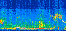 /calipso-imagery/data/BROWSE/production/V5-00/2019-03-02/2019-03-02_13-00-47_V5.00_2_thmb.png image missing