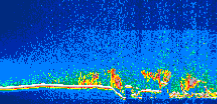 /calipso-imagery/data/BROWSE/production/V5-00/2019-03-02/2019-03-02_14-39-18_V5.00_1_thmb.png image missing