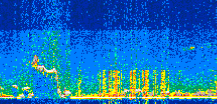/calipso-imagery/data/BROWSE/production/V5-00/2019-03-02/2019-03-02_14-39-18_V5.00_2_thmb.png image missing