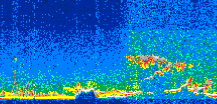 /calipso-imagery/data/BROWSE/production/V5-00/2019-03-02/2019-03-02_19-34-58_V5.00_3_thmb.png image missing