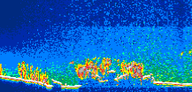 /calipso-imagery/data/BROWSE/production/V5-00/2019-03-02/2019-03-02_21-13-28_V5.00_1_thmb.png image missing