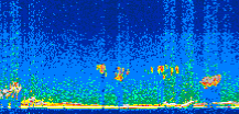 /calipso-imagery/data/BROWSE/production/V5-00/2019-03-02/2019-03-02_21-13-28_V5.00_3_thmb.png image missing