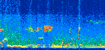 /calipso-imagery/data/BROWSE/production/V5-00/2019-03-02/2019-03-02_22-52-04_V5.00_2_thmb.png image missing