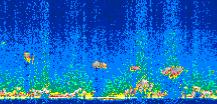 /calipso-imagery/data/BROWSE/production/V5-00/2019-03-02/2019-03-02_22-52-04_V5.00_3_thmb.png image missing