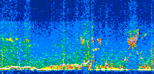 /calipso-imagery/data/BROWSE/production/V5-00/2019-03-03/2019-03-03_02-09-04_V5.00_2_thmb.png image missing