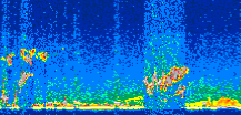/calipso-imagery/data/BROWSE/production/V5-00/2019-03-03/2019-03-03_03-47-39_V5.00_3_thmb.png image missing
