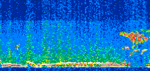 /calipso-imagery/data/BROWSE/production/V5-00/2019-03-03/2019-03-03_07-04-45_V5.00_2_thmb.png image missing