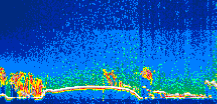 /calipso-imagery/data/BROWSE/production/V5-00/2019-03-03/2019-03-03_08-43-15_V5.00_1_thmb.png image missing