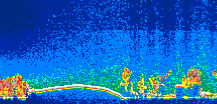 /calipso-imagery/data/BROWSE/production/V5-00/2019-03-03/2019-03-03_10-21-50_V5.00_1_thmb.png image missing
