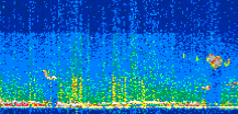 /calipso-imagery/data/BROWSE/production/V5-00/2019-03-03/2019-03-03_13-38-56_V5.00_2_thmb.png image missing