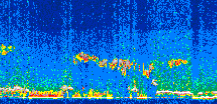 /calipso-imagery/data/BROWSE/production/V5-00/2019-03-03/2019-03-03_16-55-56_V5.00_3_thmb.png image missing