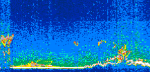 /calipso-imagery/data/BROWSE/production/V5-00/2019-03-03/2019-03-03_20-13-07_V5.00_3_thmb.png image missing