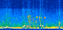 /calipso-imagery/data/BROWSE/production/V5-00/2019-03-03/2019-03-03_21-51-37_V5.00_2_thmb.png image missing