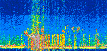/calipso-imagery/data/BROWSE/production/V5-00/2019-03-11/2019-03-11_15-26-46_V5.00_2_thmb.png image missing