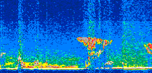 /calipso-imagery/data/BROWSE/production/V5-00/2019-03-11/2019-03-11_18-43-52_V5.00_3_thmb.png image missing