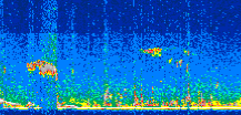 /calipso-imagery/data/BROWSE/production/V5-00/2019-03-12/2019-03-12_09-30-44_V5.00_2_thmb.png image missing